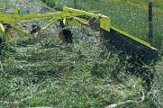 CLAAS Liner Rake Parts